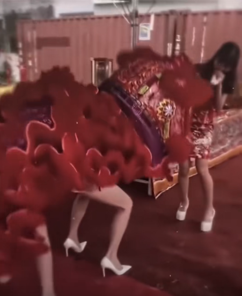 我要挑战我的软肋我要骑狮子