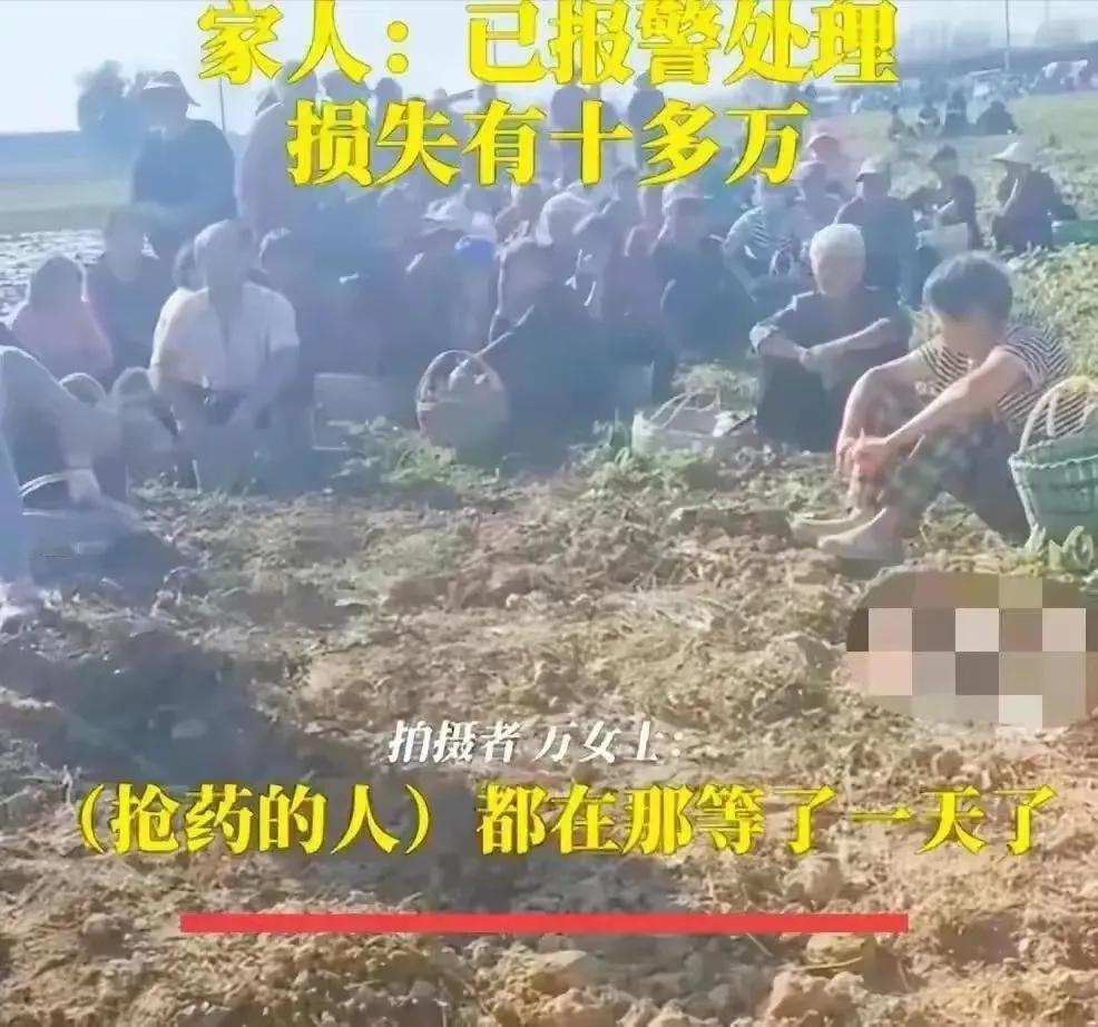 最大的回旋标事件已经发生，老美表示不服，O元购可不是漂亮的专利。继宿州市哄抢土