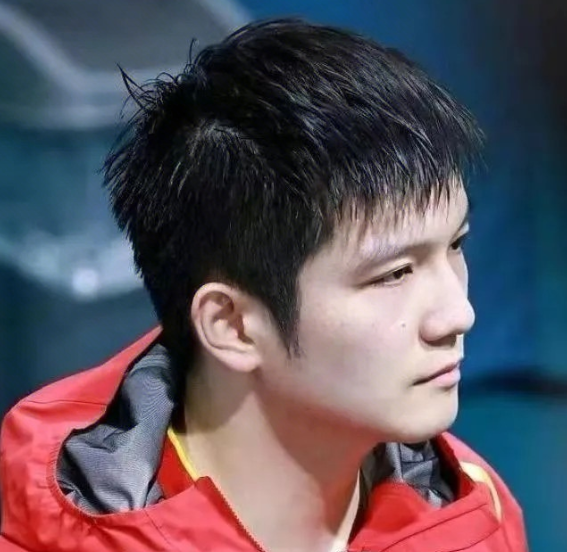 樊振东他唯一的筹码就是自己的实力这句话我不知道是哪位高人总结的，但毫不夸张，这