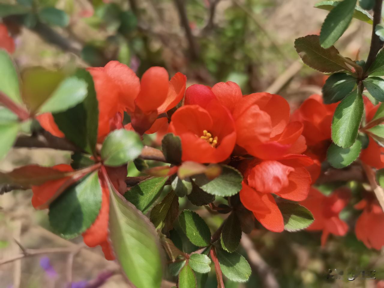 当皇太子其实也是危险活，特别是皇帝年纪不大时候生的孩子。古代都是终身制，皇太