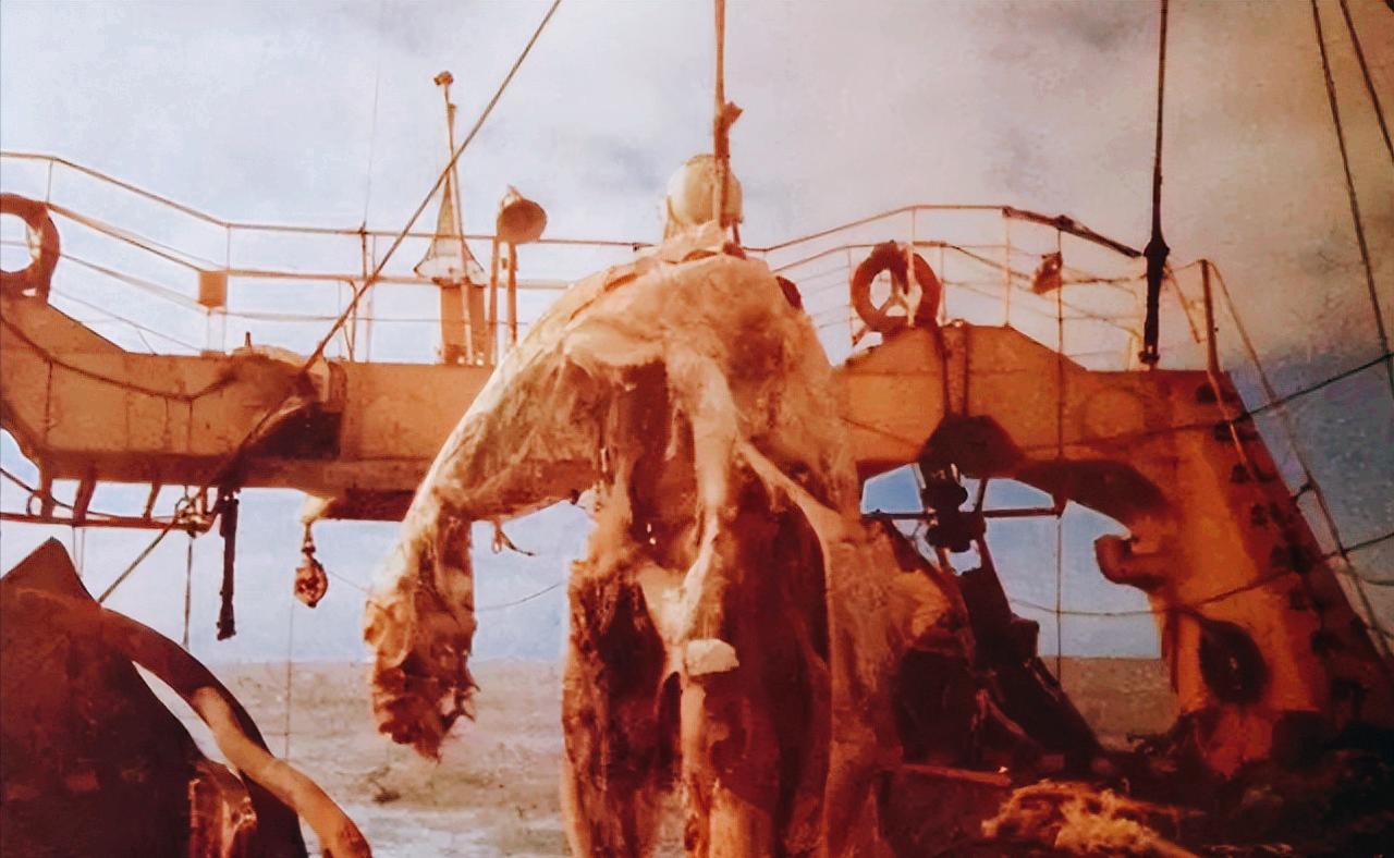 1977年4月，一艘日本渔船正在新西兰海域捕鱼。甲板上突然传来一阵惊呼，起重