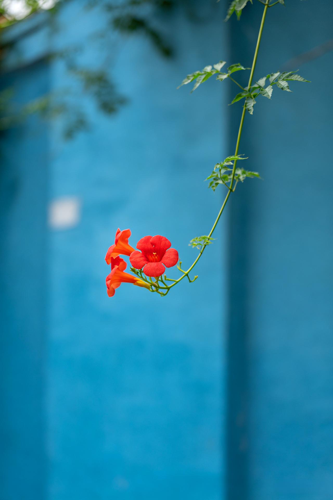 很智慧的一段话：“早起就是储能、少言就是避祸、守时就是信用、节俭就是积财、运动