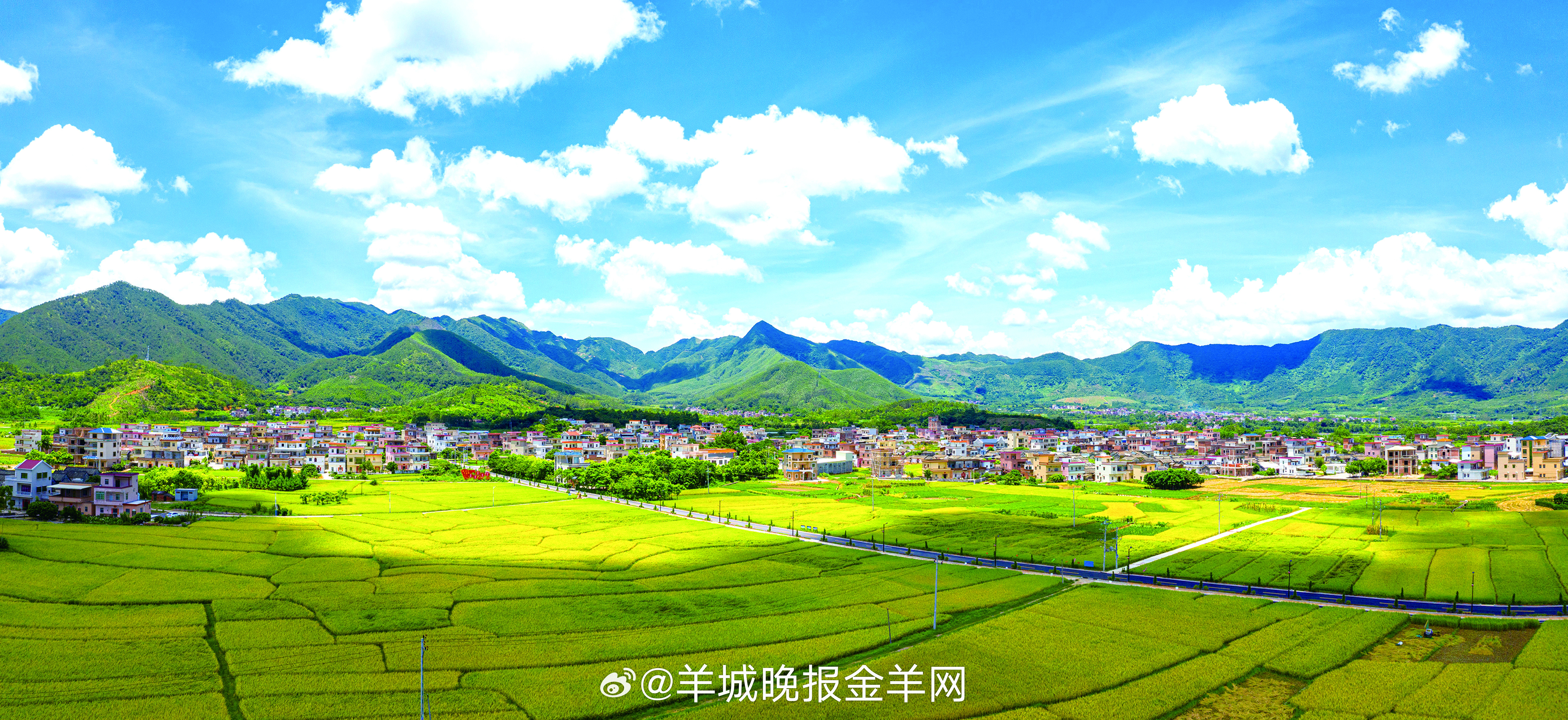 #早安#山再高，往上攀总能登顶；路再长，向前走总能到达。​​​