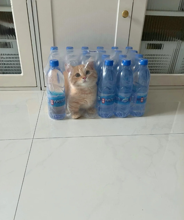 新皮肤：矿泉水小猫​​​