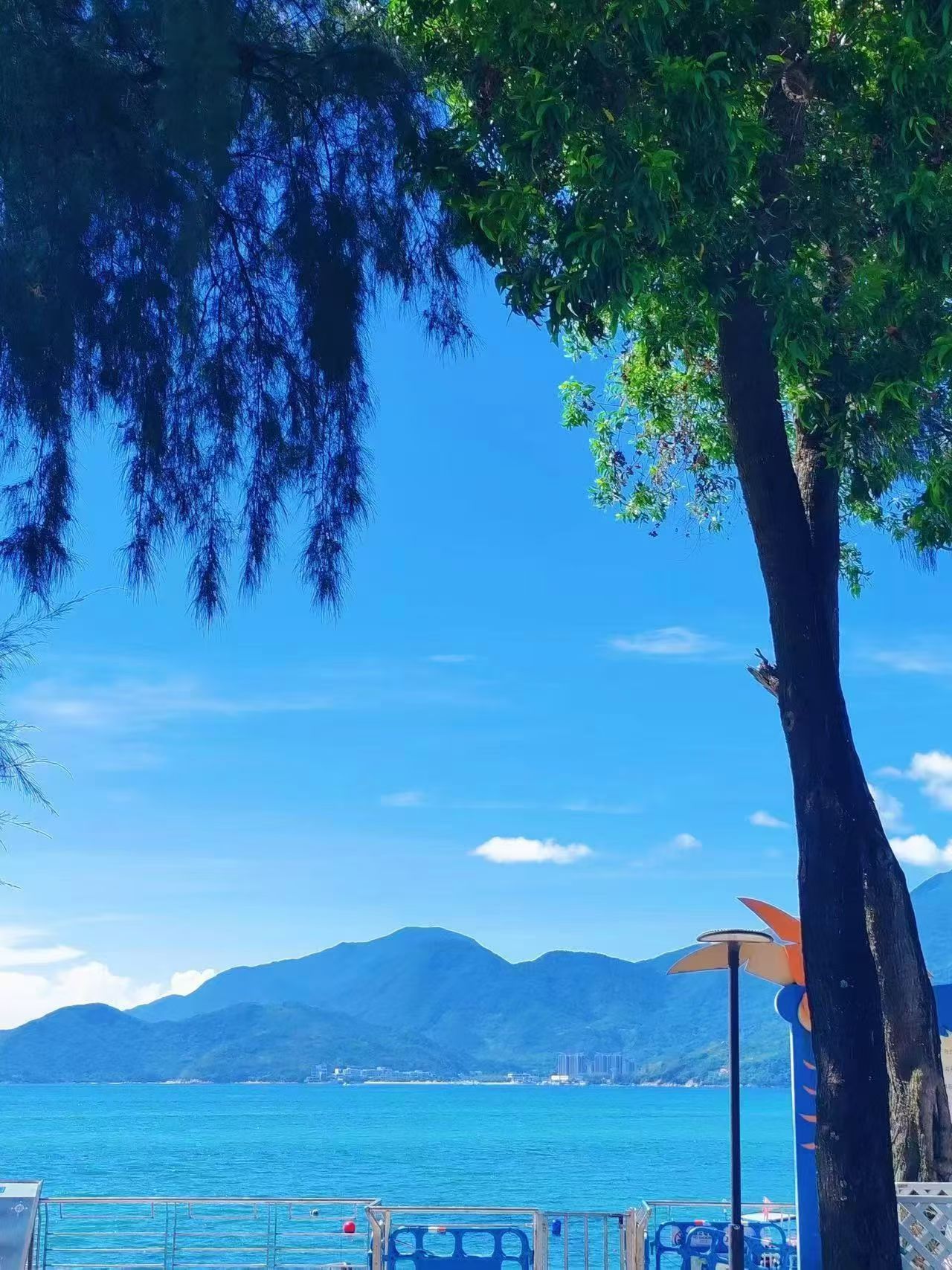 人生就像荡秋千，起的时候，要有落的准备，落的时候，要有起的信心。早安