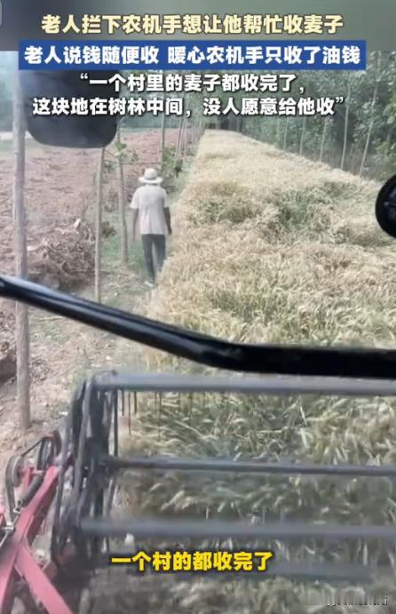“活该他发财！”近日，江苏老人在路边拦下农机手，恳求对方帮忙收下麦子，全村就剩他