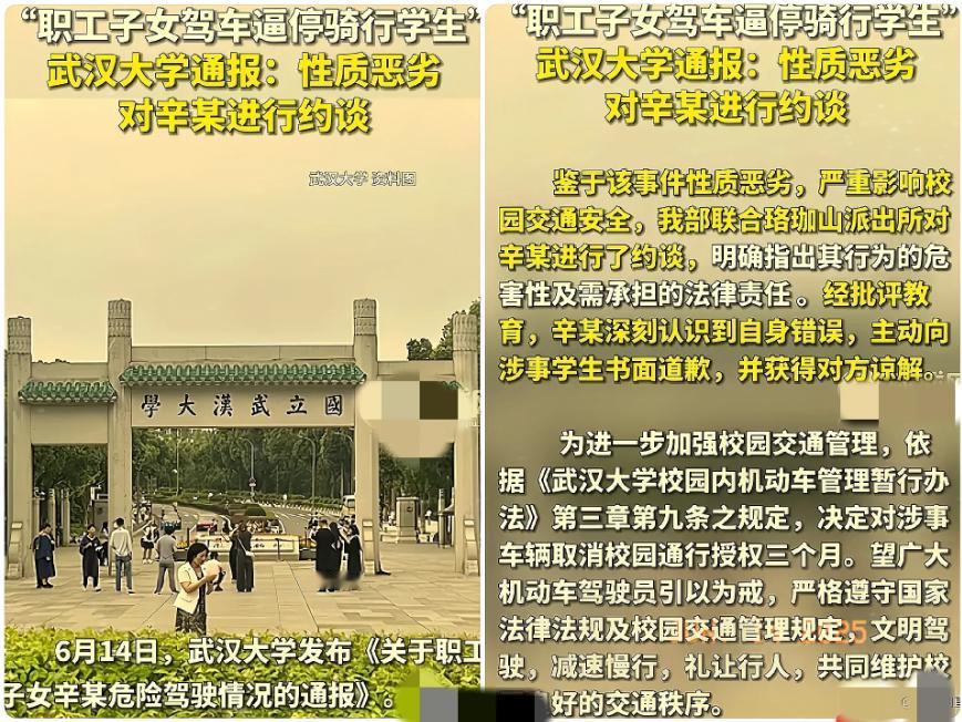 就在上戏的瓜还没吃完时，武汉大学又曝出一则令人瞠目结舌的事件。一位辛副校长的公