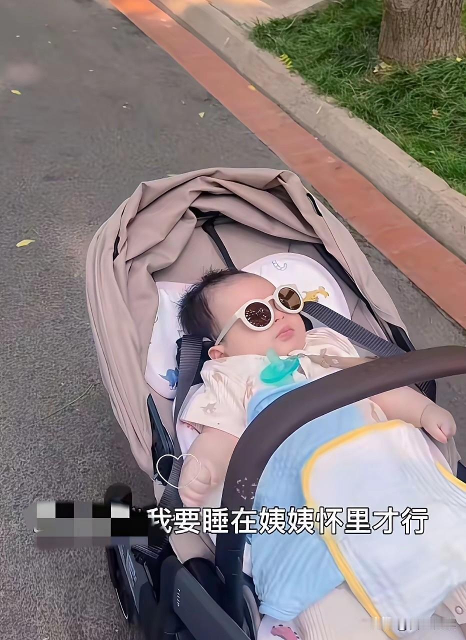你敢相信马筱梅再晒汪三宝的照片一出果然贫穷限制了大多人的想象前脚给小箖箖