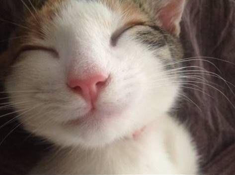 ：）​​​