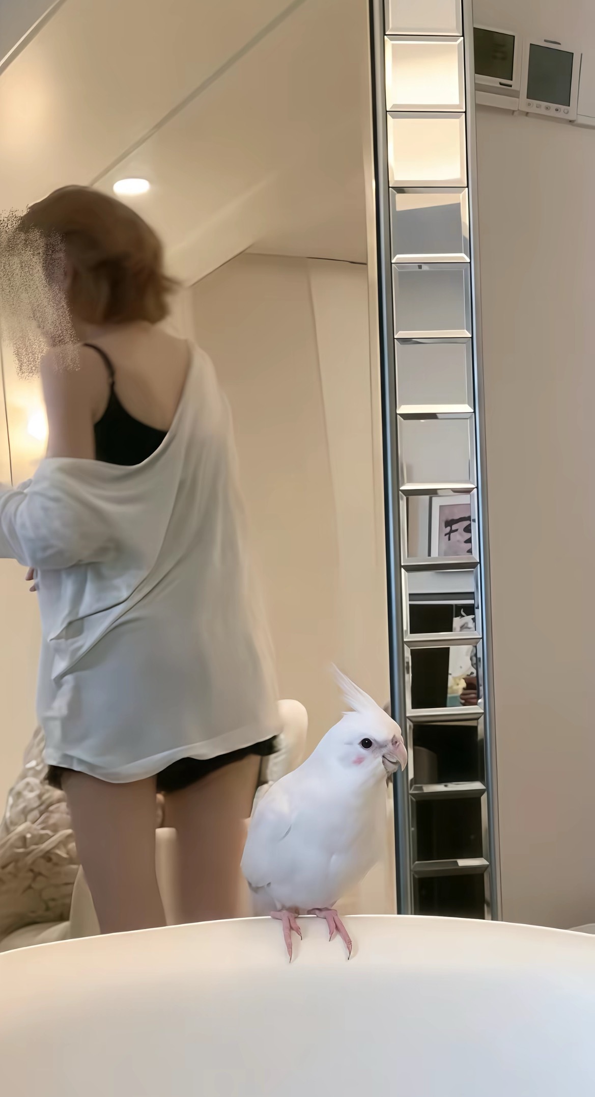 我一天不发烧就难受​​​