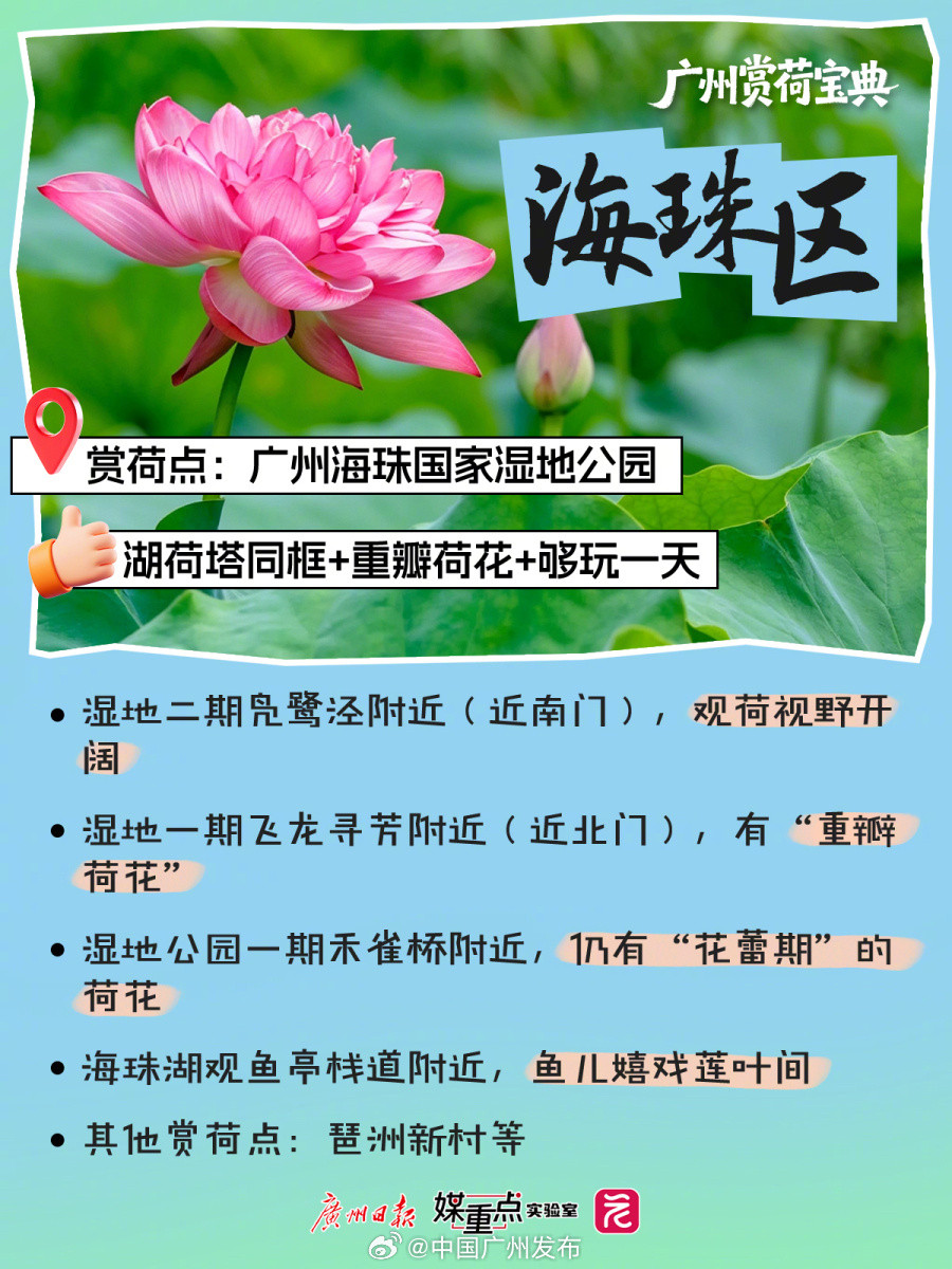 【抓紧时间赏荷去！】荷风入夏，诗意满城。每年6月至8月，广州总有荷香点...