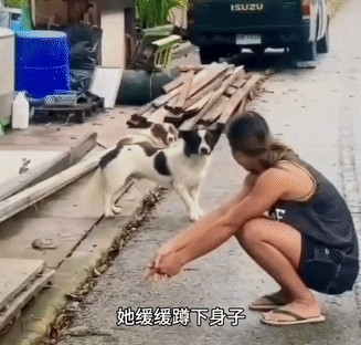 女子路过一个村庄的时候，突然发觉自己丢失了三年的狗狗就在眼前