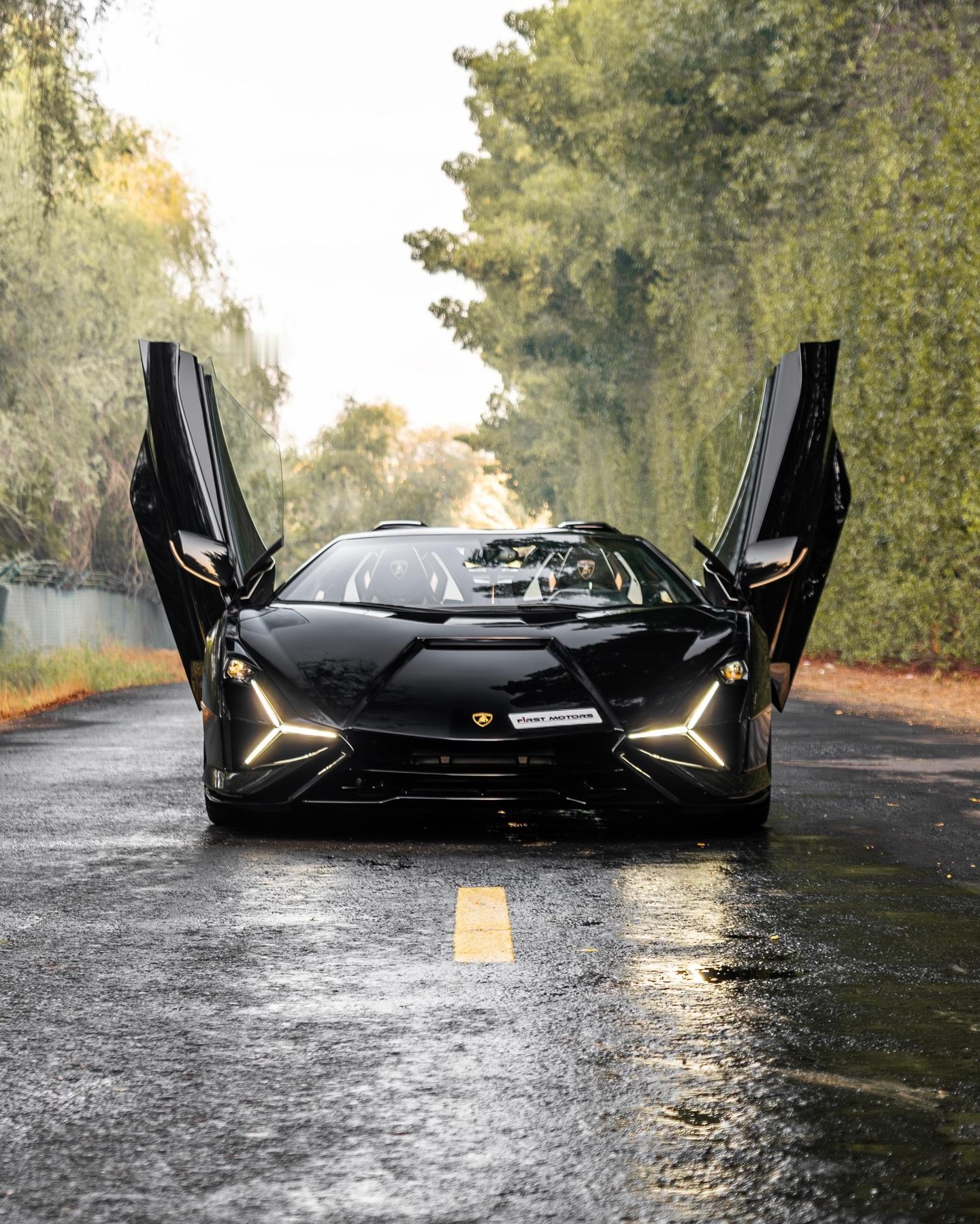 LamborghiniSianRoadster兰博基尼太酷炫！