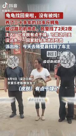 “这是真幸运！”云南丽江，一女子饲养了30多年的鳄龟跑出大门，被一名路过的司机抱