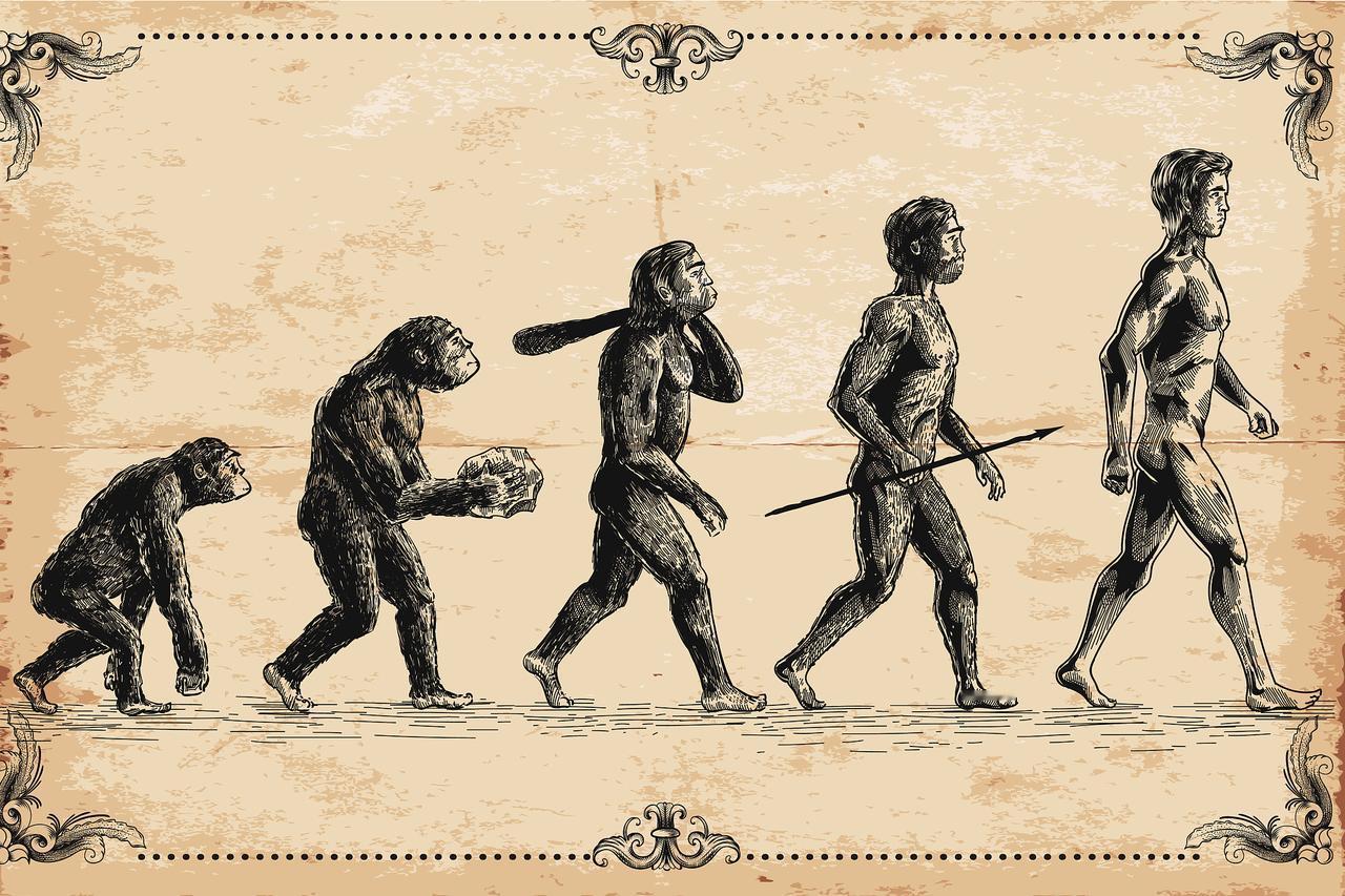 人类起源、源于什么?这是一个宏大而深刻的问题，跨越了科学、哲学和神学等多个领域。