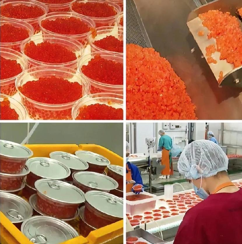 俄罗斯外交部声称，特使史蒂夫．威特科夫涉嫌从俄罗斯带走一箱红鱼子酱作为送给特朗普