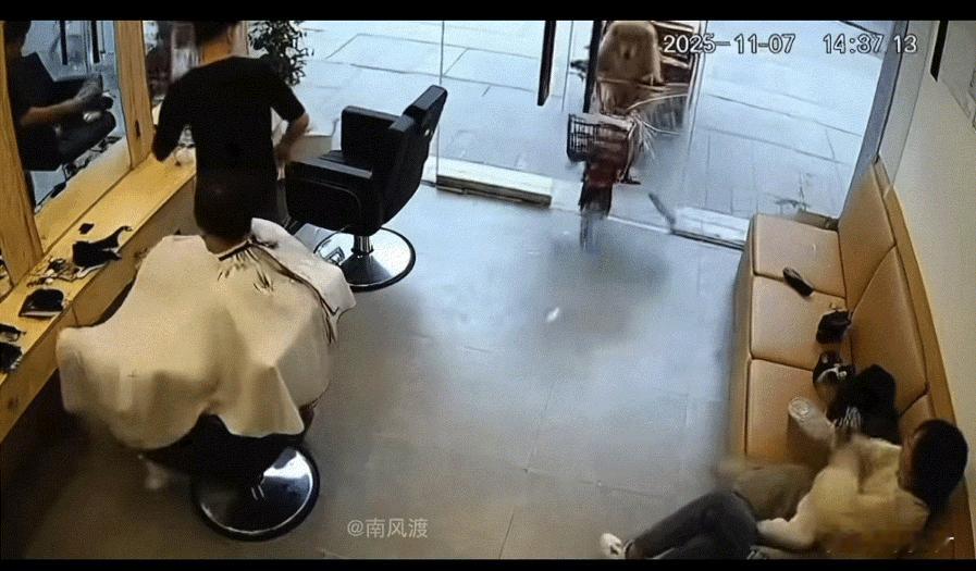 哭笑不得！河南，男子正在店里给顾客理发，突然门外冲来一只骑着电动三轮车的狗狗，直