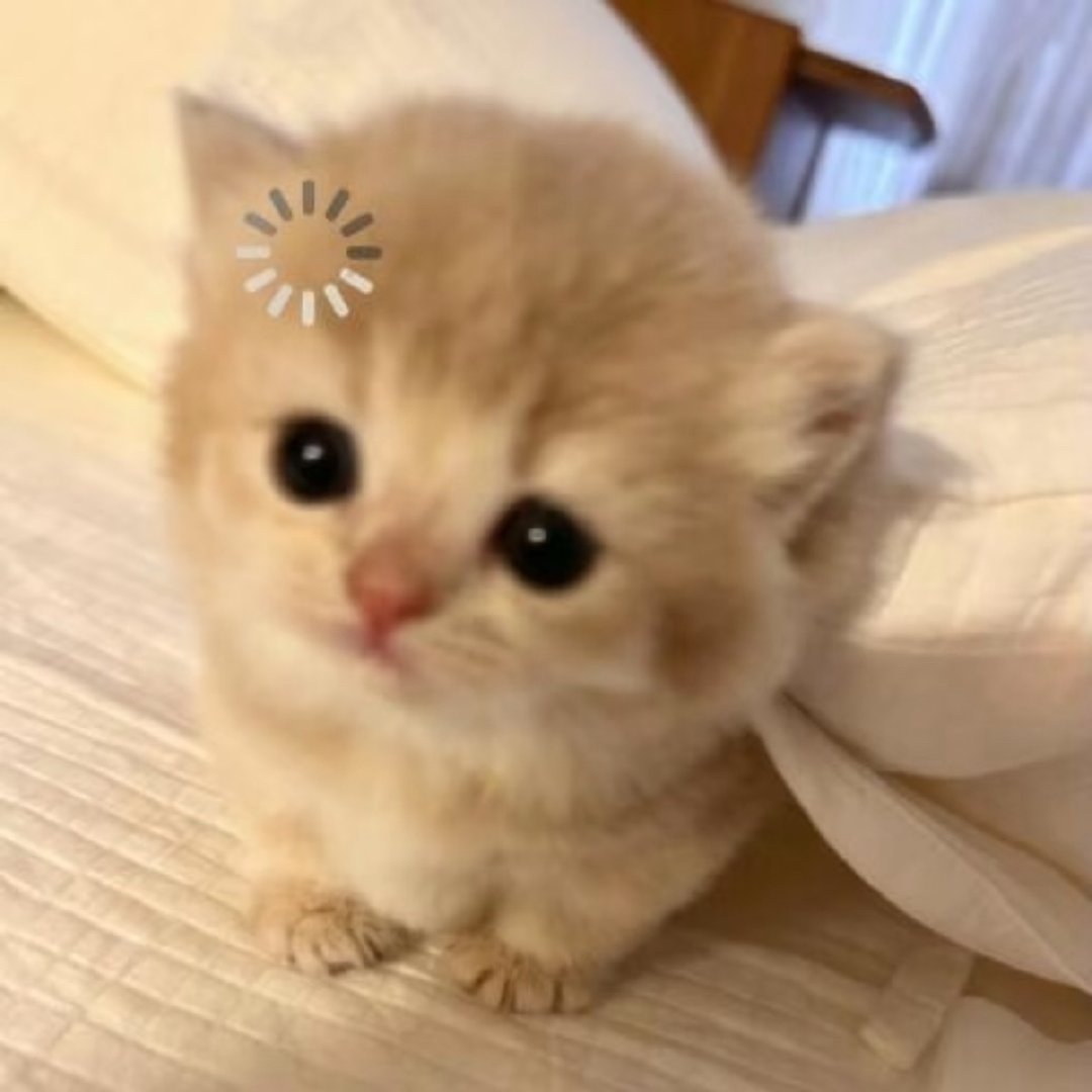 #朱一龙在外面不要叫我宝宝#知道了，宝宝！​