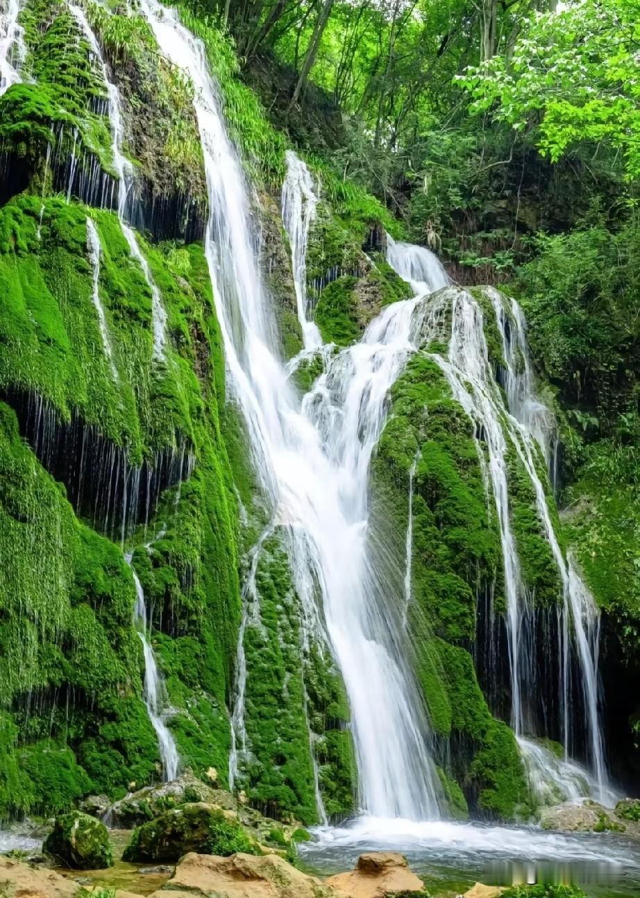 如果说避暑是生理需求，那么赏景就是精神慰藉。洛阳栾川重渡沟，靠着万亩竹海，把两种