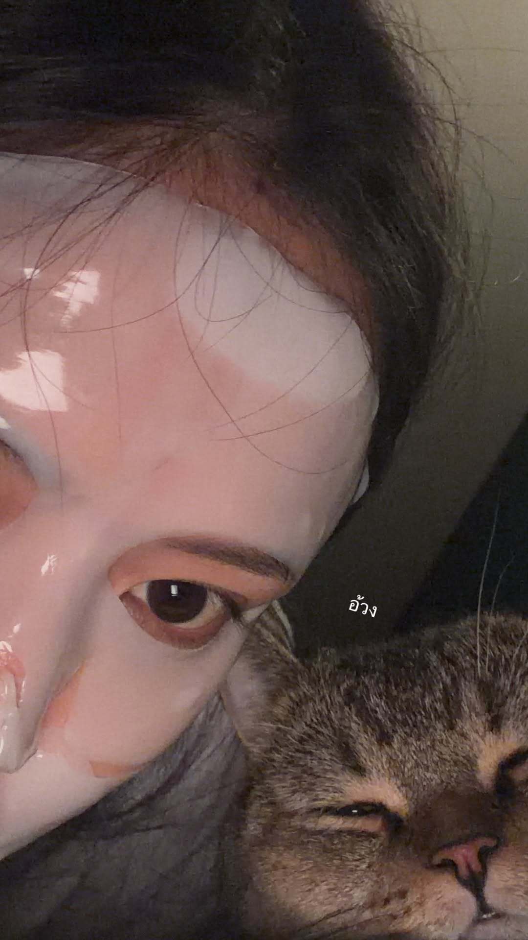 LM快拍更新：胖嘟嘟​​​