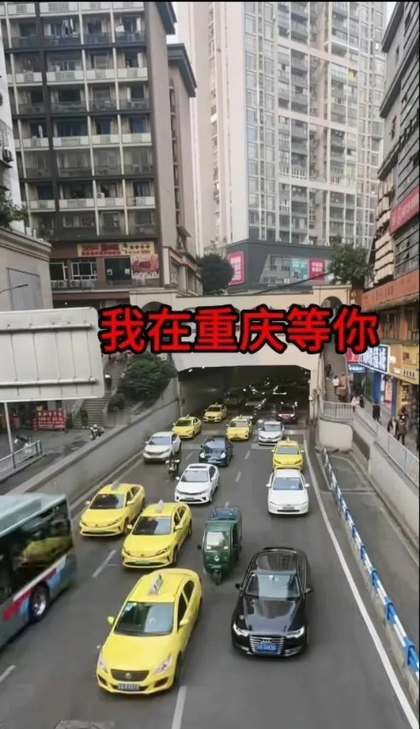 那些天天喊着呆呆要“变现”的人，这下脸肿了吧？