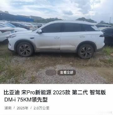 比亚迪 宋Pro新能源 2025款 第二代 智驾版 DM-i 75KM...