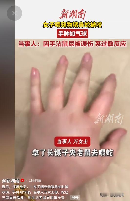 5月14日新湖南报道，江苏有个女生养了一条宠物猪鼻蛇，竟然连续三四个星期都没给蛇