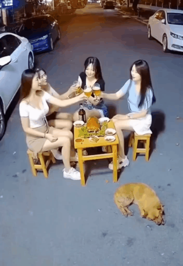 恶狗真是凶残呀！