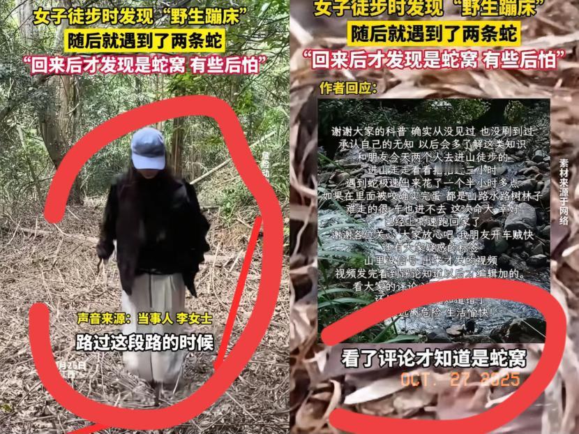 家人们谁懂啊！江西这女子简直是从蛇窝边上捡回一条命！进山徒步踩着堆落叶，软弹