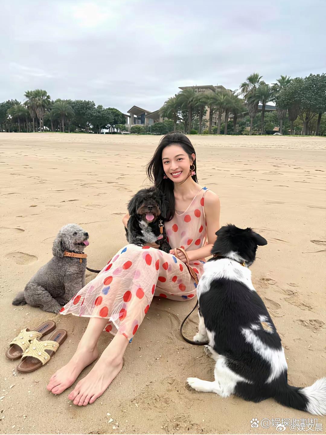 钟楚曦整体造型十分精致，唯独一双宽脚，稍微拉低了一点精致度。