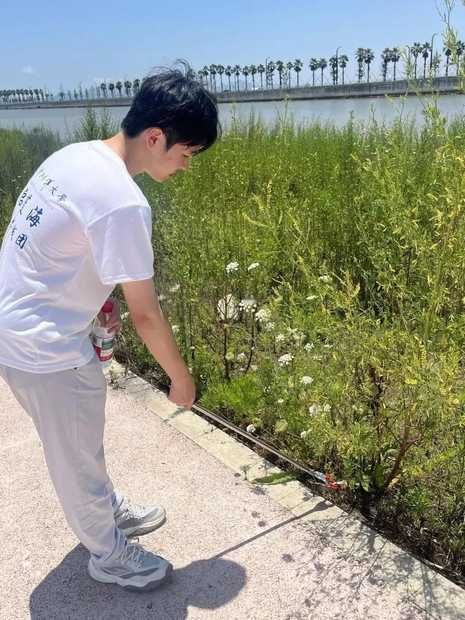 网友分享的金科玉律！主业求生存，副业改变命运！昨天是我入职电工满一个月的日子