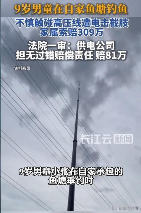 “冤不冤？”河南长垣，9岁男孩在自家鱼塘钓鱼，甩竿时不慎触碰到了高压线，瞬间高压