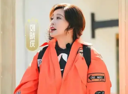 刘晓庆呀刘晓庆，不行咱就退出《一路繁花2》吧！不是节目不好，也不是刘嘉玲、何