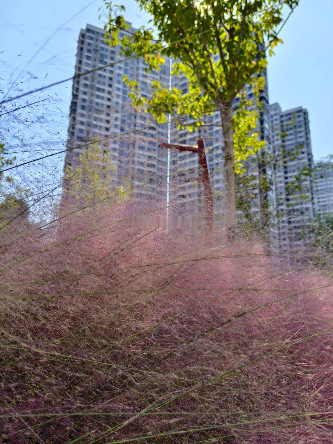 午后的光，斜斜地穿过百叶窗，在桌面上切出明暗相间的条纹。键盘声不知何时停了下来。