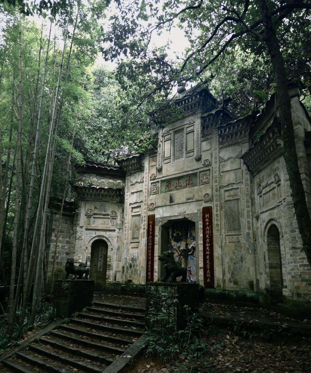 福建绿化率全国第一，武夷山又没什么工业，纯天然山水，武夷山的水也特别好[笑着哭]
