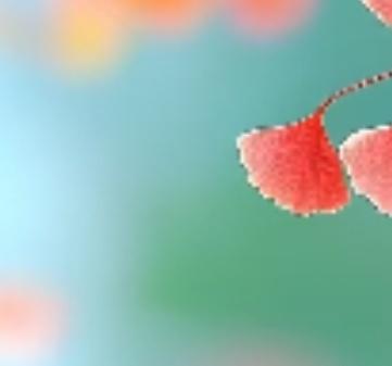 人生的道路，不是一条笔直的过程，而是一条螺旋形的路径，时而前进，时而折回，停滞后