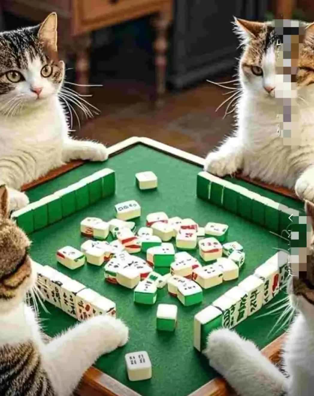 你会不会和一个天天都赢的人打麻将？近一个月来，和一个小区里的邻居大姐一起打麻