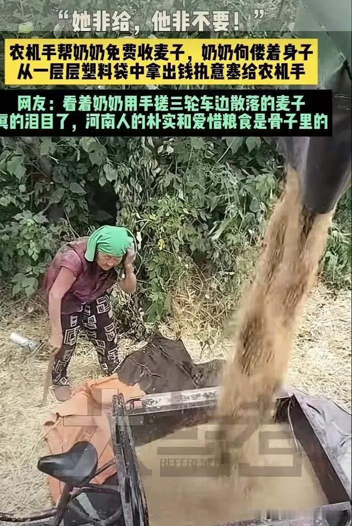 暖心小故事河南田间，忙活一天的收割机师傅收拾机具，打算收工返程。正要启动车