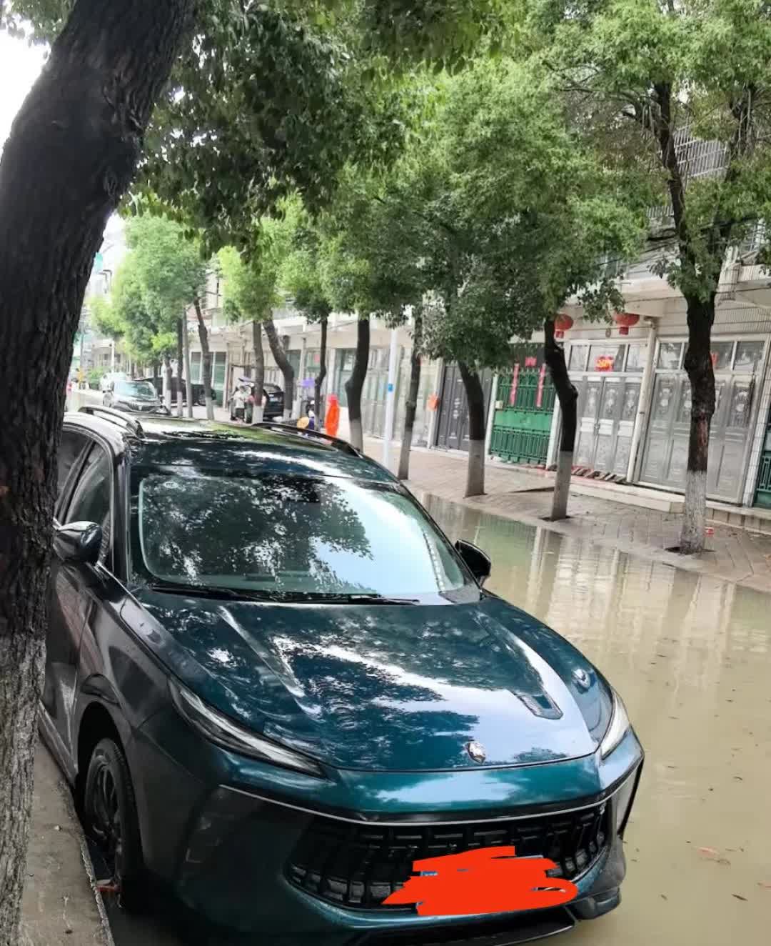 大意了，停在巷子里一上午没有注意，下午才去看了哈，卧槽，主驾和副驾下面都有水，不