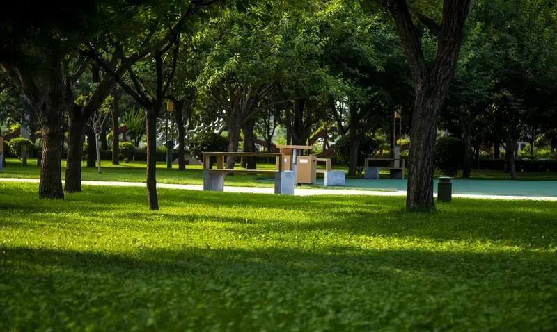 已退居二线歇岗回家的老校长今天来学校了，他可是退居二线后一直没来学校了。也不知道