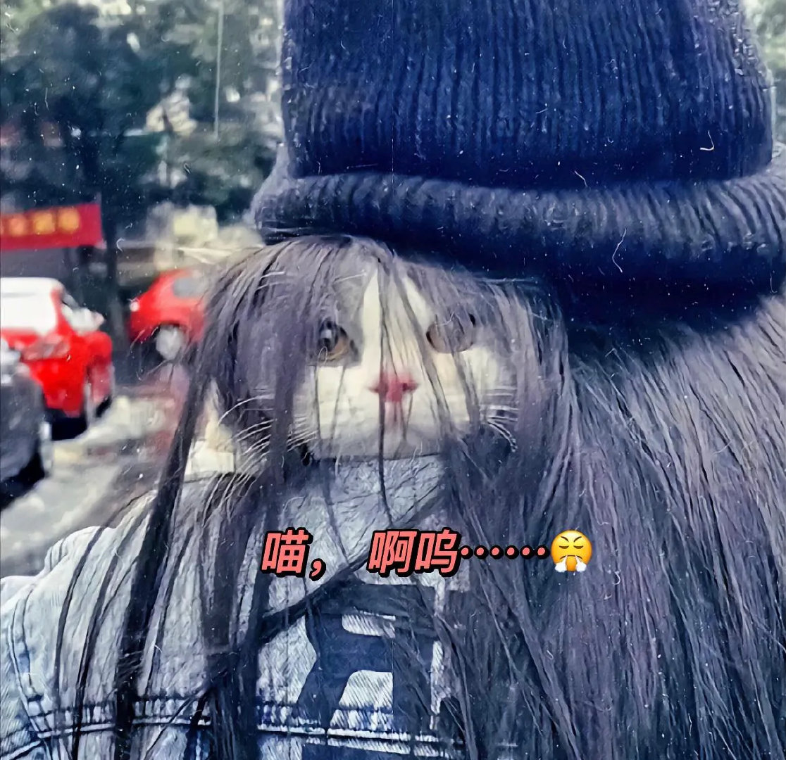 抱着猫咪出门溜达，发现很多人一直盯着我看，原来是我的头发惹的祸！