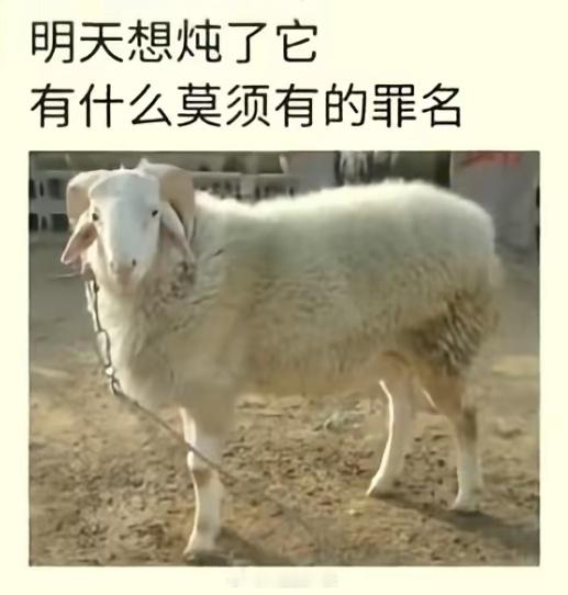 今天敢吃草，明天就敢吃人，此羊断不可留​​​