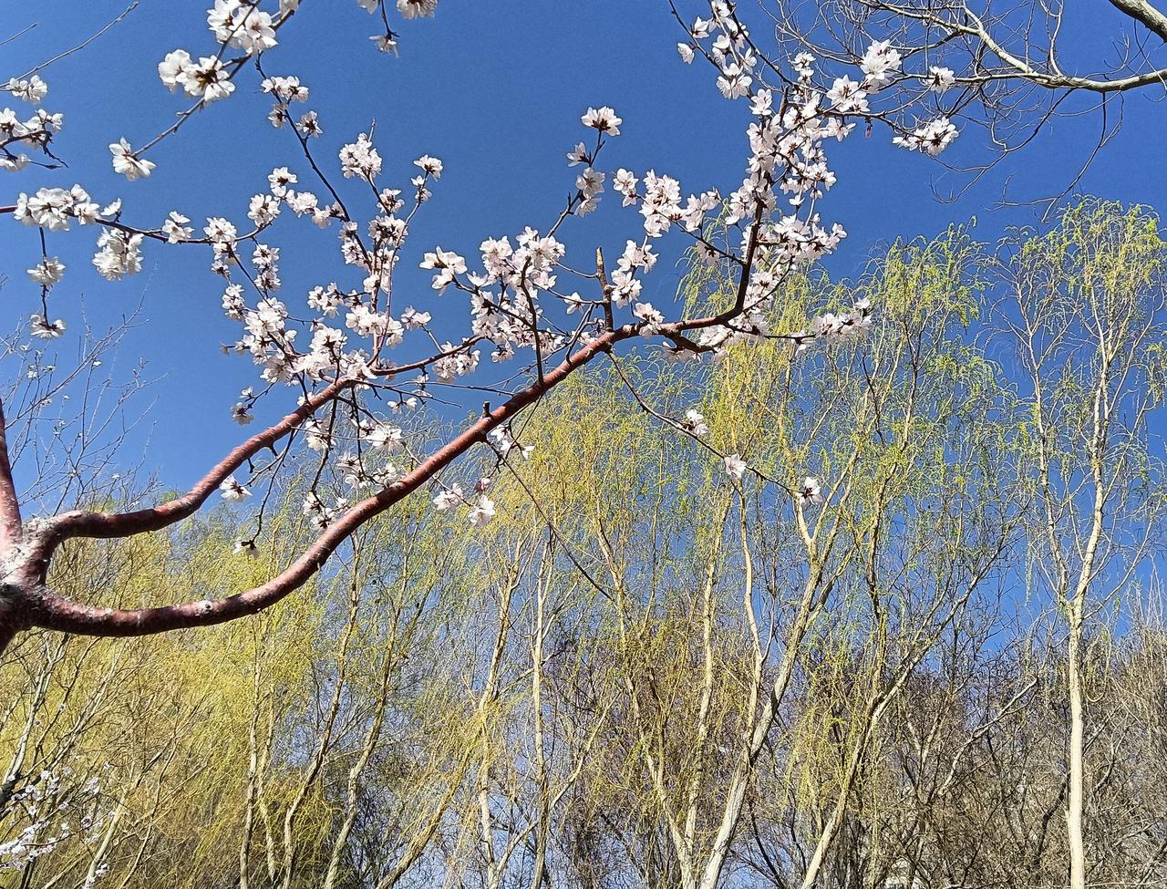 暖风逐寒立春天文／闲乘月（溜着玩）白昼渐长暖逐寒角宿赴任宰蓝天雨水增多万