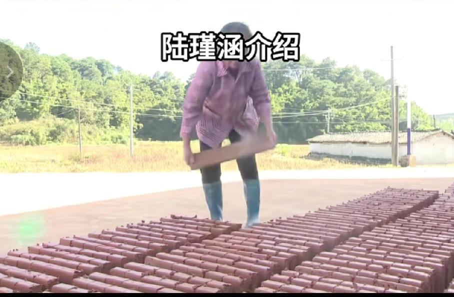 近日广西南宁市宾阳县新桥镇民范村的陆瑾涵等人生产“窑鸡砖”，解决了新手搭窑的难题