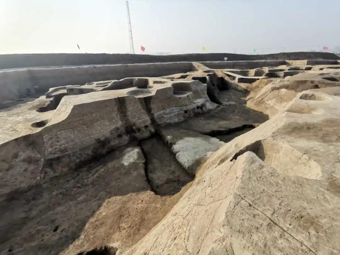 这有意思嘿河南淮阳发现了4000年前的“中央粮库”河南淮阳一片麦地因