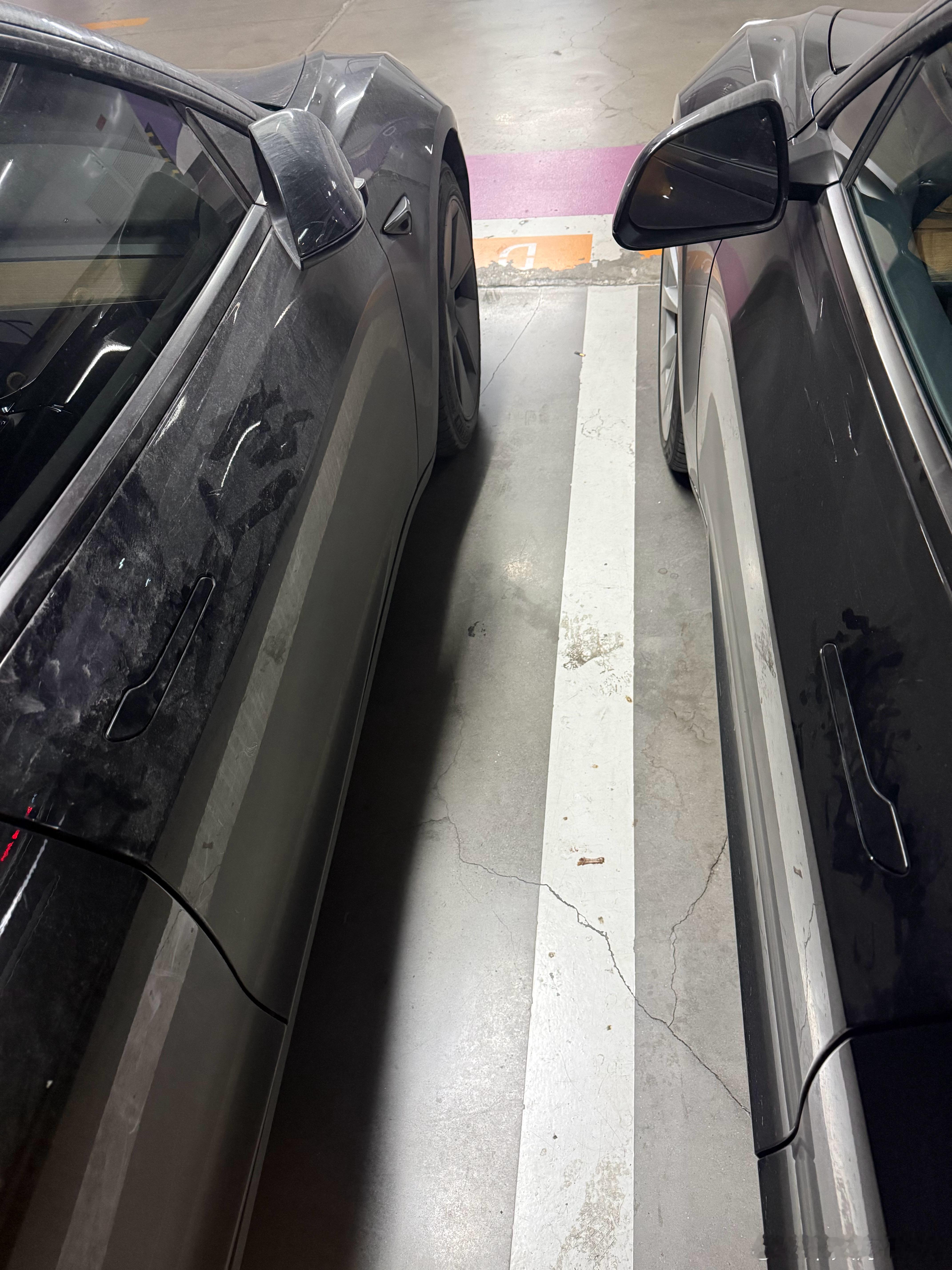 我觉得我毛豆算够脏的了～（这个月都没在上海待几天，哪有功夫收拾它）万万没想到…还