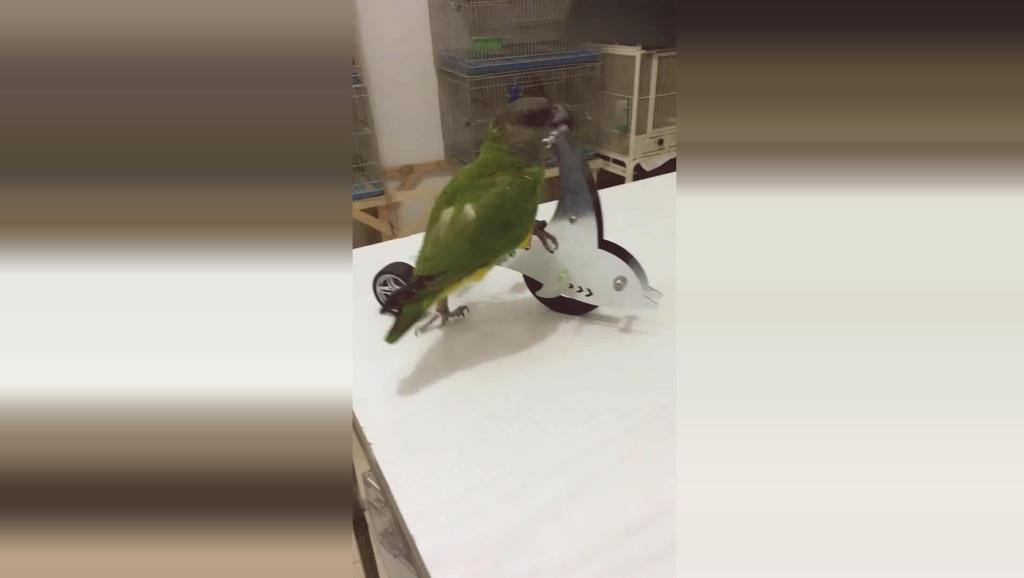 钟昀呈_钟昀呈收入(3)