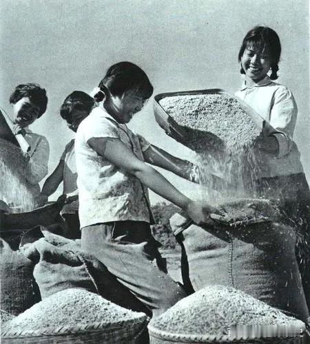 史载：荆楚盛地，江南鱼米之乡。江汉平原才是真正的自古江南鱼来之乡，也是地球形成