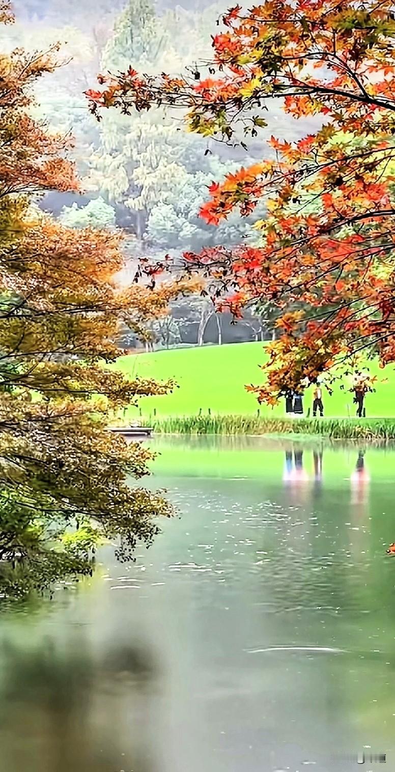 其实男人和女人相识了，相爱了，结婚了，离婚了。就是个过程，这个过程不走完，你甘心