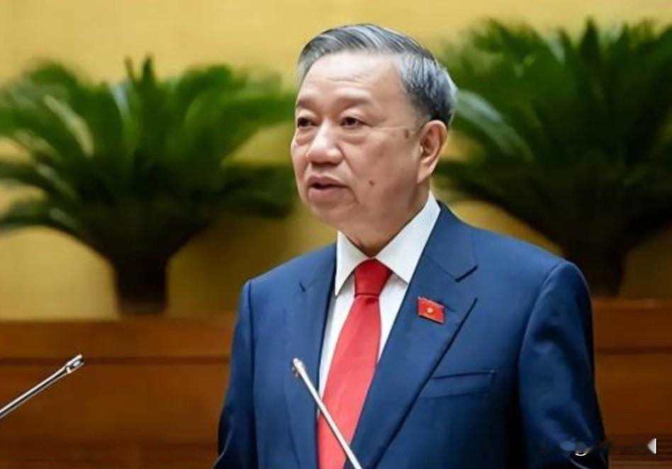 不要把越南领导人苏林来一次中国，就把中越之间的关系看的那么好！对越南这样的国家还